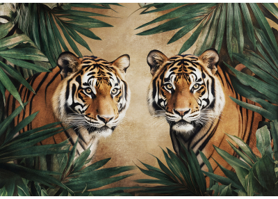 Фототапет Два тигъра сред тропически листа – луксозен акцент